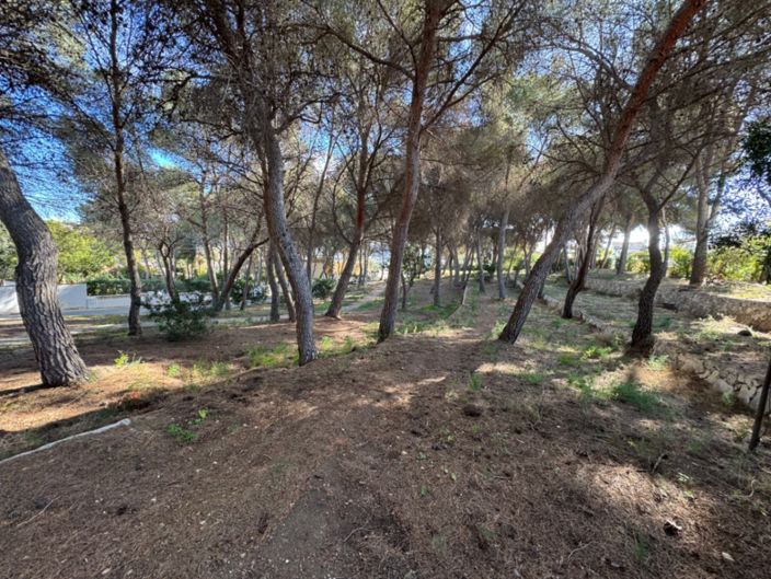 Image No.32-2 Bed Villa for sale