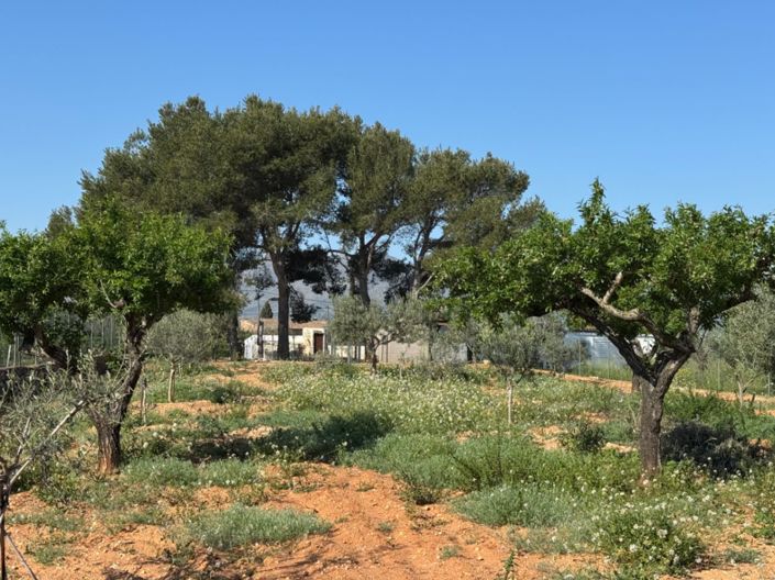 Image No.18-4 Bed Finca for sale