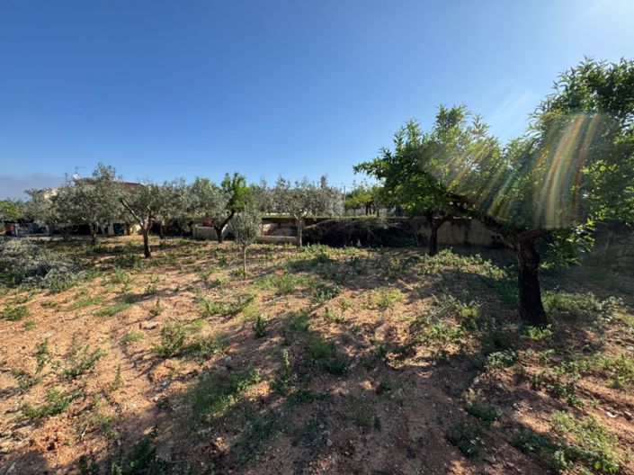 Image No.19-4 Bed Finca for sale