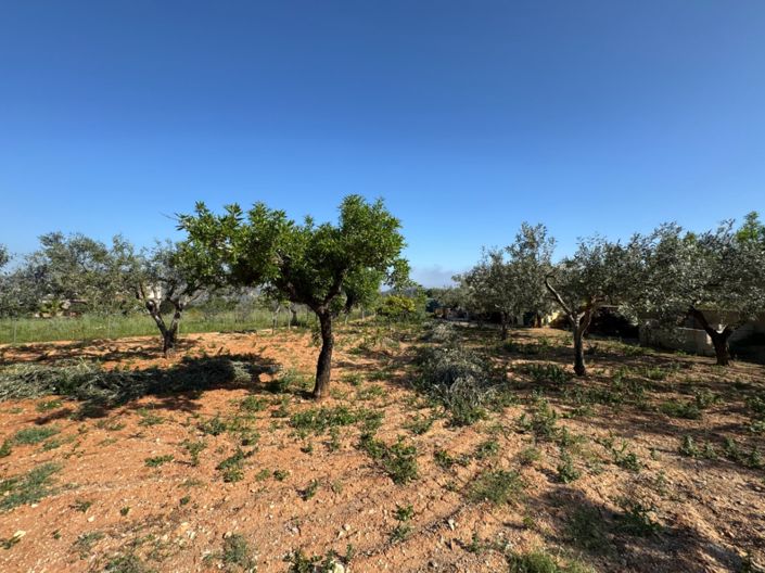 Image No.20-4 Bed Finca for sale