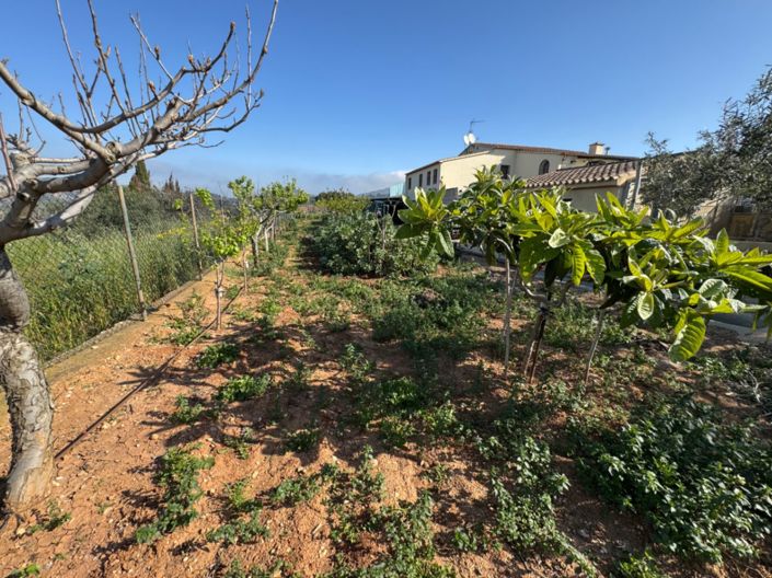 Image No.23-4 Bed Finca for sale