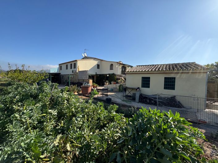 Image No.24-4 Bed Finca for sale