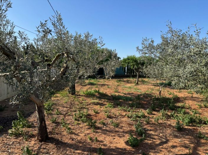 Image No.4-4 Bed Finca for sale