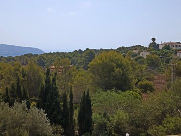 img20230801113419