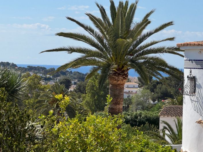 Image No.3-3 Bed Villa for sale