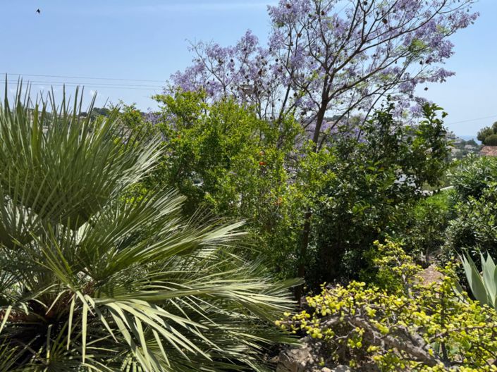 Image No.40-Villa de 3 chambres à vendre à Benissa