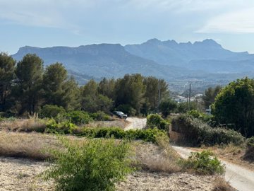 Ferrando Estate Agents most sold property