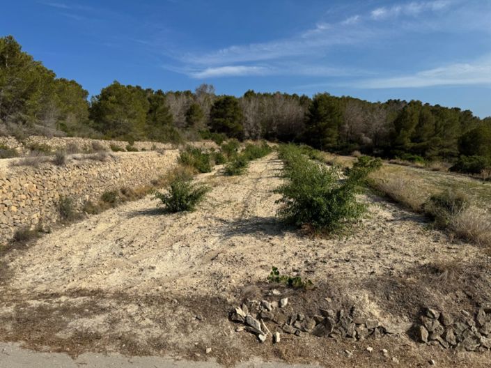 Image No.19-Plot for sale