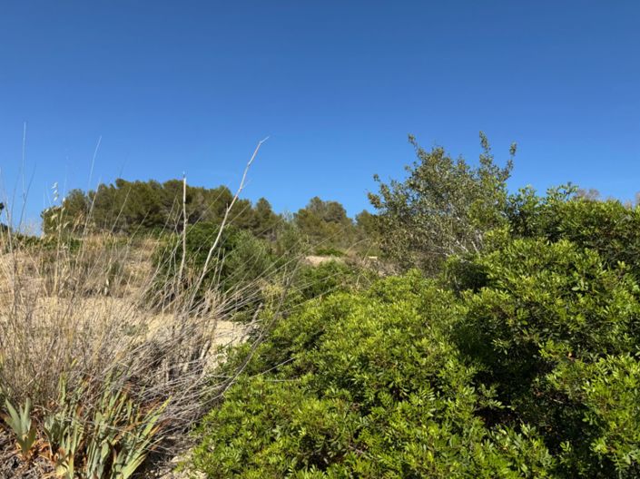 Image No.21-Plot for sale