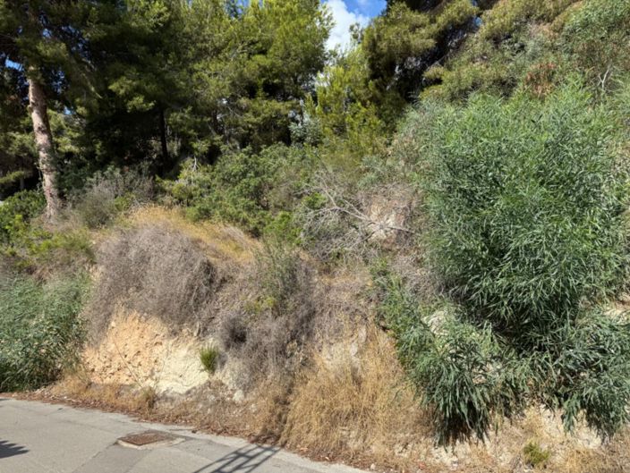 Image No.2-Plot for sale