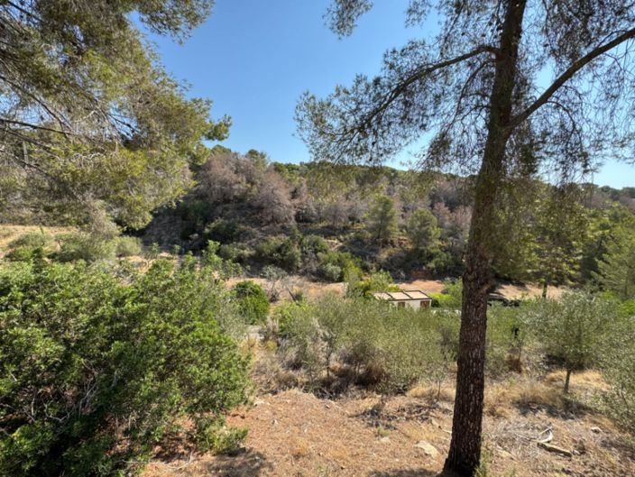 Image No.13-Plot for sale