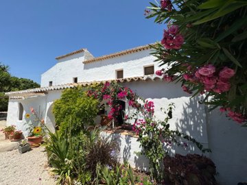 image00018