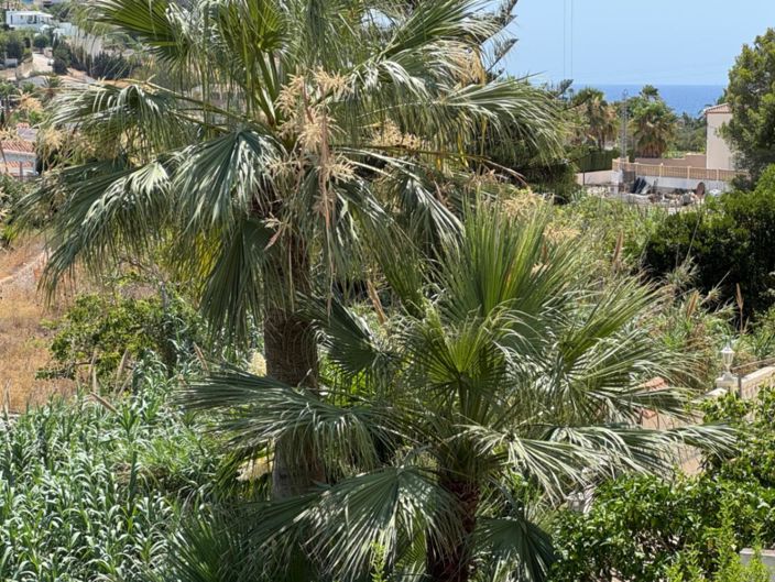 Image No.57-4 Bed Villa for sale