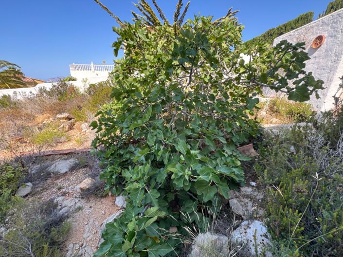 Image No.14-3 Bed Villa for sale