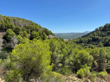 Ferrando Estate Agents most sold property