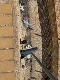 image00017