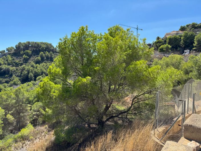 Image No.3-Terrain à vendre à Javea