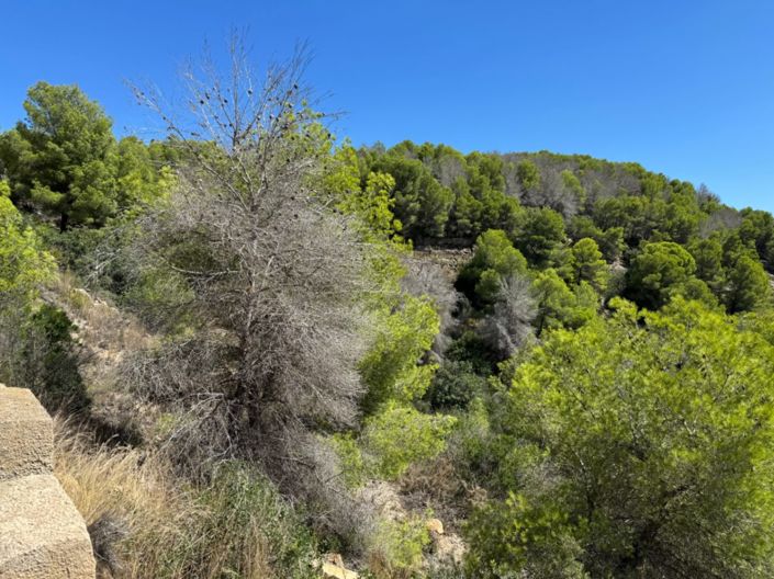 Image No.6-Terrain à vendre à Javea