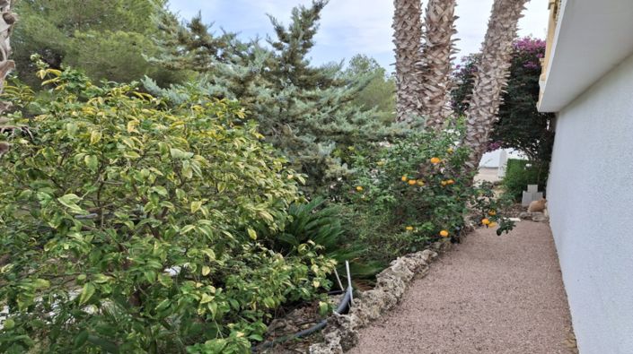 Image No.33-Villa de 3 chambres à vendre à Benissa