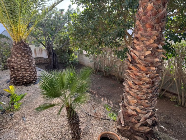 Image No.49-3 Bed Villa for sale