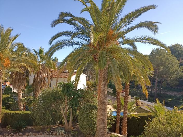 Image No.23-Villa de 3 chambres à vendre à Moraira