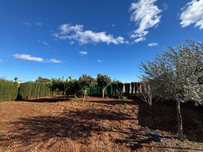 Image No.30-Finca de 2 chambres à vendre à Ondara