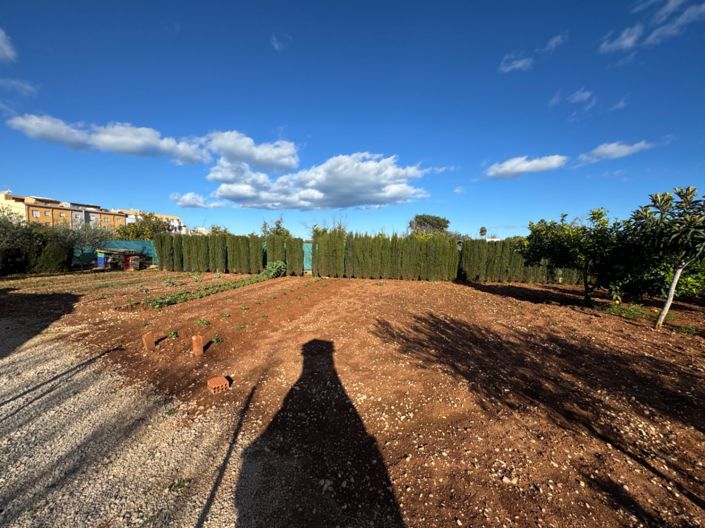 Image No.31-Finca de 2 chambres à vendre à Ondara