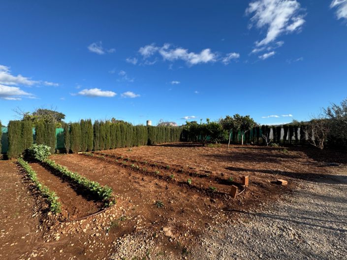 Image No.33-Finca de 2 chambres à vendre à Ondara