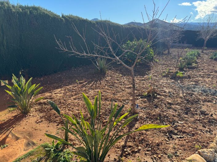 Image No.42-Finca de 2 chambres à vendre à Ondara
