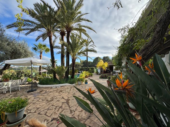 Image No.7-Finca de 3 chambres à vendre à Teulada