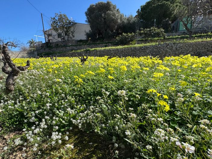 Image No.18-Villa de 6 chambres à vendre à Benissa