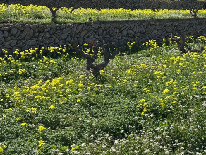 Image No.22-Villa de 6 chambres à vendre à Benissa