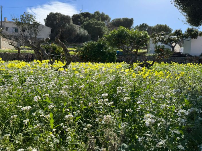 Image No.40-Villa de 6 chambres à vendre à Benissa