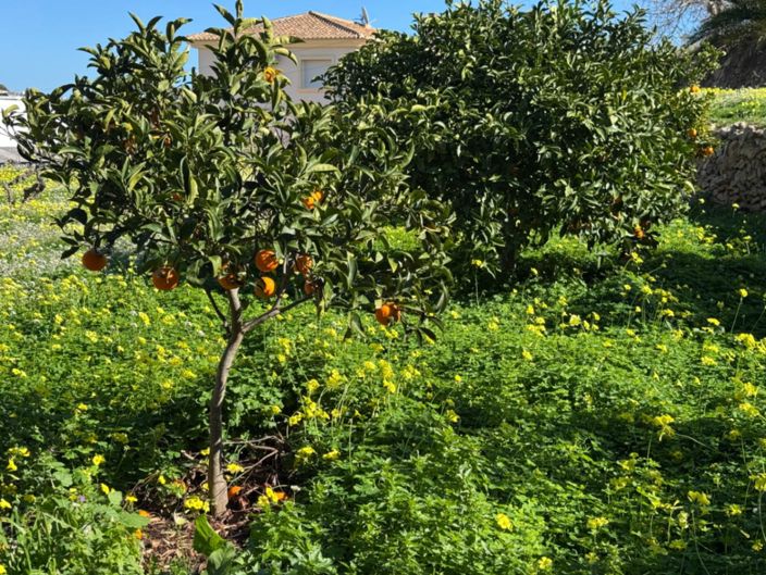 Image No.41-Villa de 6 chambres à vendre à Benissa