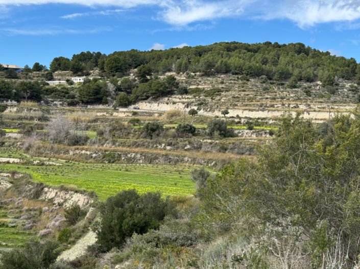 Image No.10-Terrain à vendre à Teulada