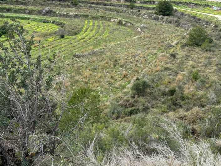 Image No.11-Terrain à vendre à Teulada