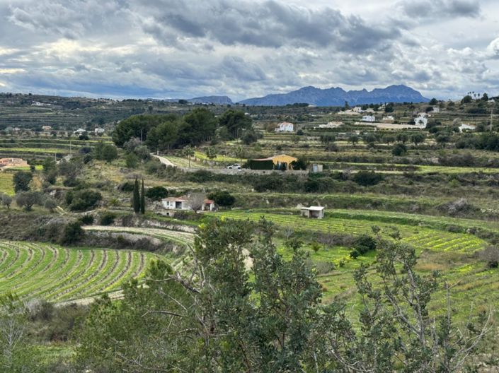 Image No.12-Terrain à vendre à Teulada