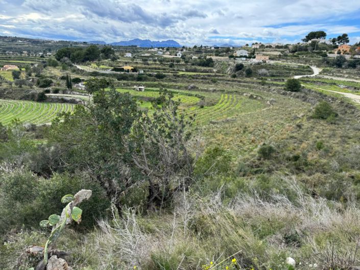 Image No.8-Terrain à vendre à Teulada