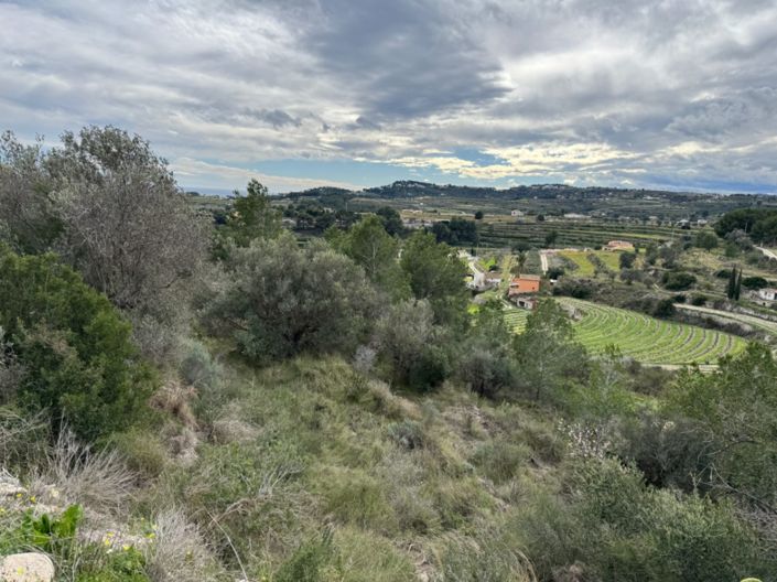 Image No.9-Terrain à vendre à Teulada