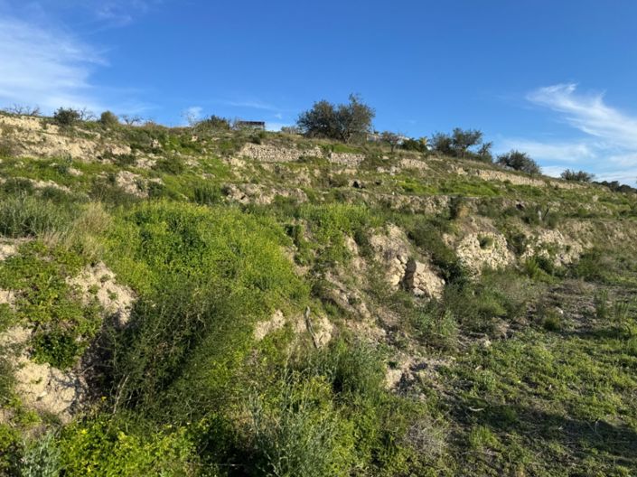 Image No.13-Terrain à vendre à Benissa