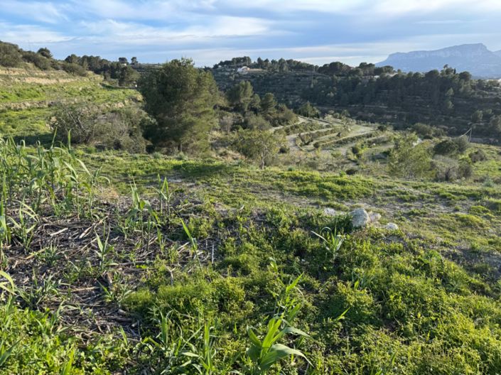 Image No.23-Terrain à vendre à Benissa