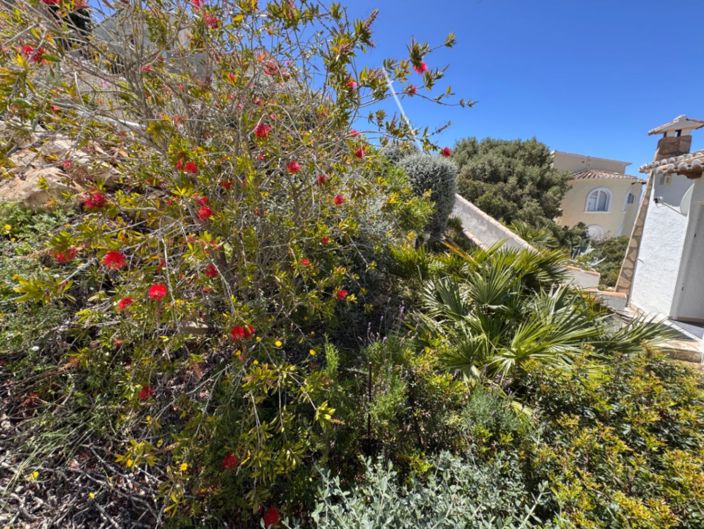Image No.20-2 Bed Villa for sale