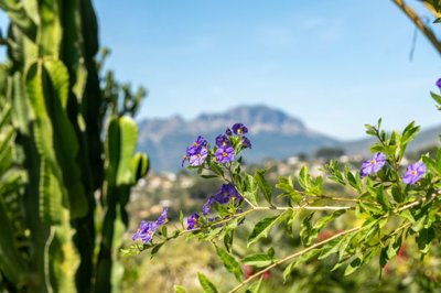 spanoramicphotography-08