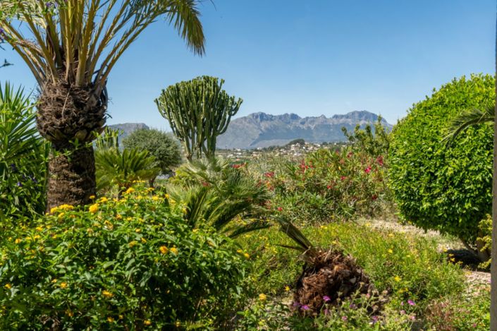 Image No.16-4 Bed Finca for sale