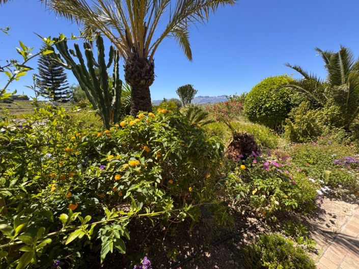Image No.30-4 Bed Finca for sale