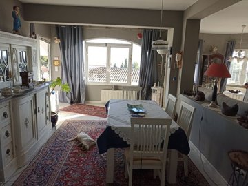 img20231115154650