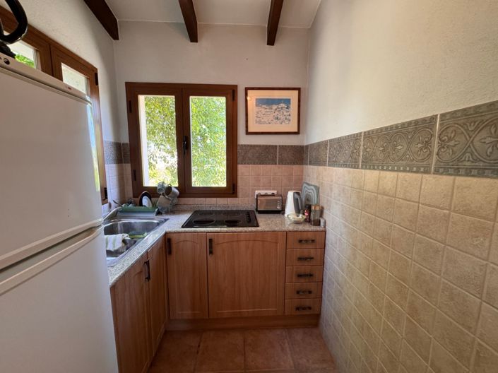Image No.49-4 Bed Finca for sale