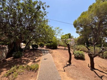 image00019