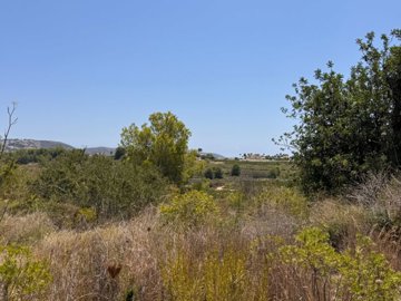 image00009