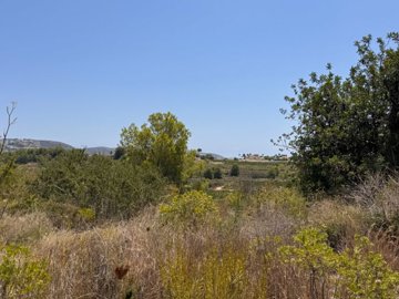 image00010